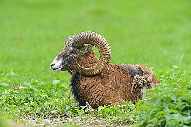 《铁拳8》将更新全新拍照模式全部角色追加新招式